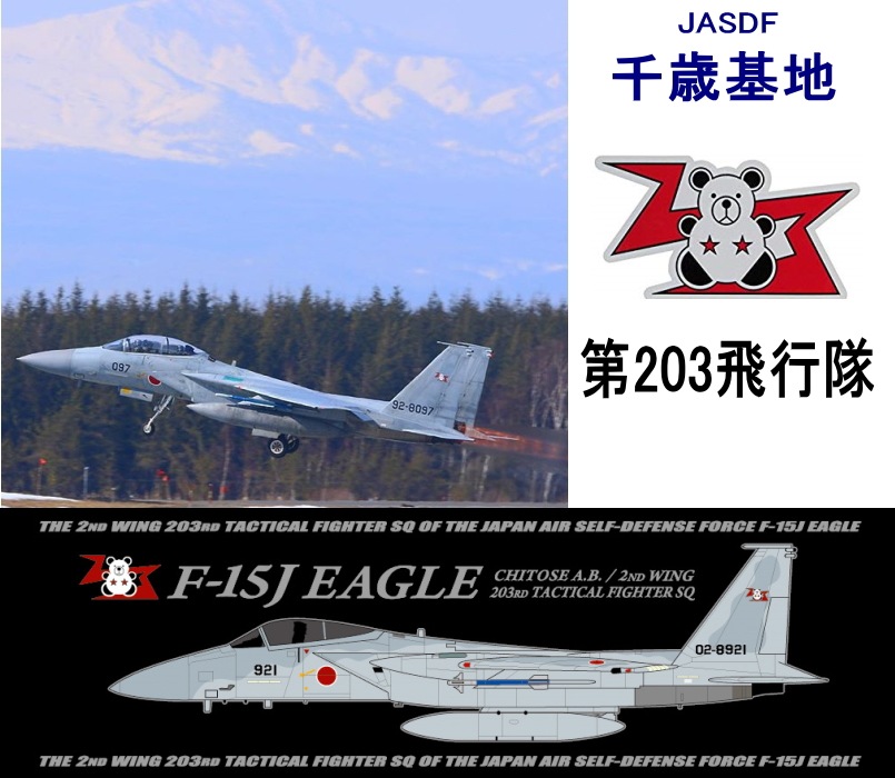 ��� ��203������ F-15DR ���������ѥå� �����ӥ�