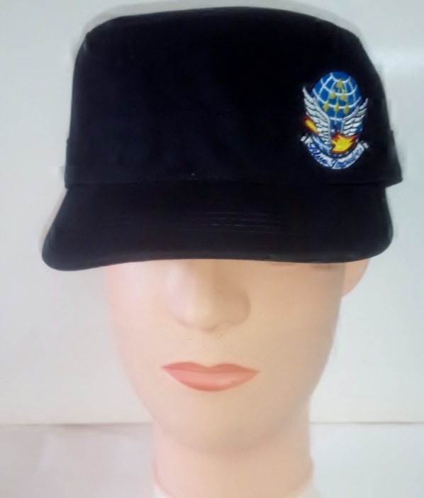 JASDF�������å� �֥롼����ѥ륹���󥷥��� �ͥ��ӡ�