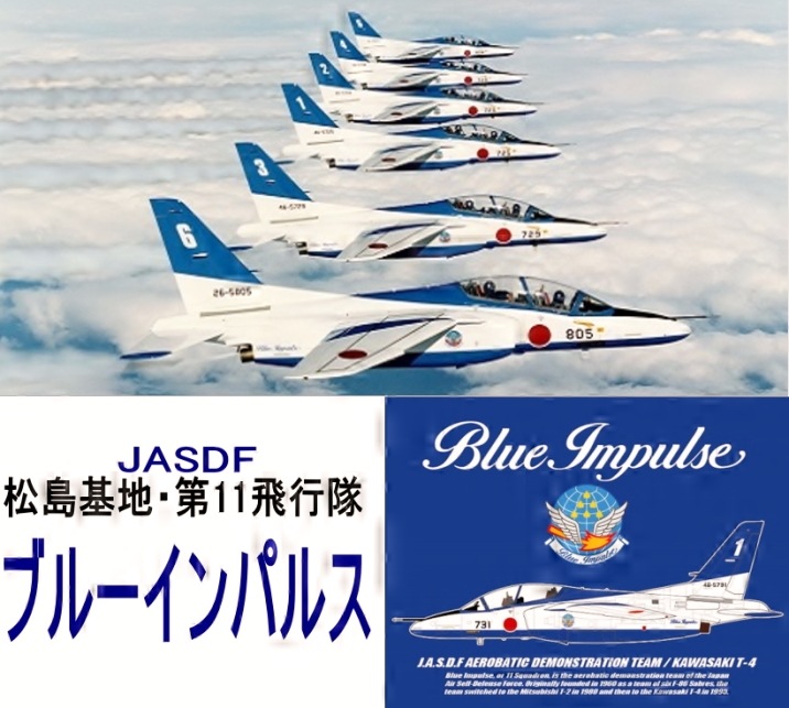 JASDFå ֥롼ѥ륹T-4 ͥӡ