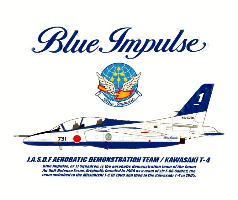 JASDFå ֥롼ѥ륹T-4 ͥӡ