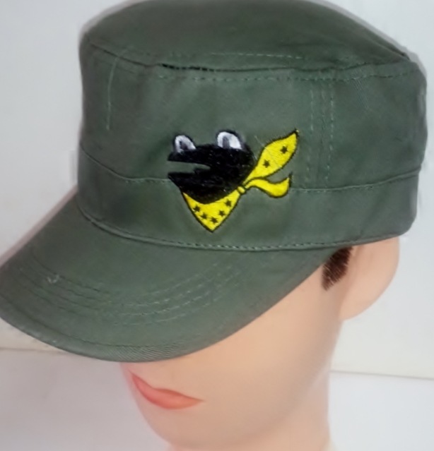 JASDFå SQ301  ϣ