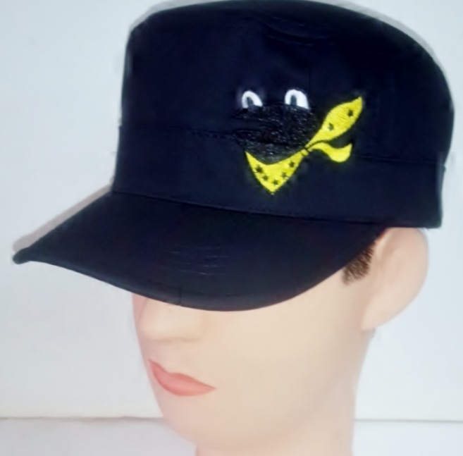 JASDF�������å� SQ301 ������ �£�