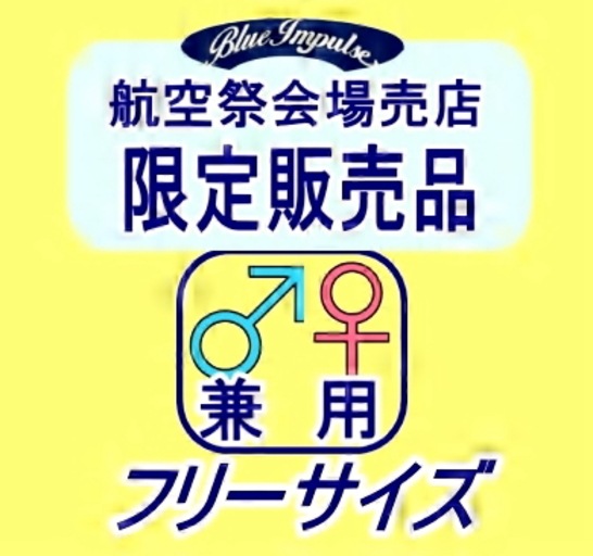 JASDF�������å� SQ302 �������亮 �ϣ�