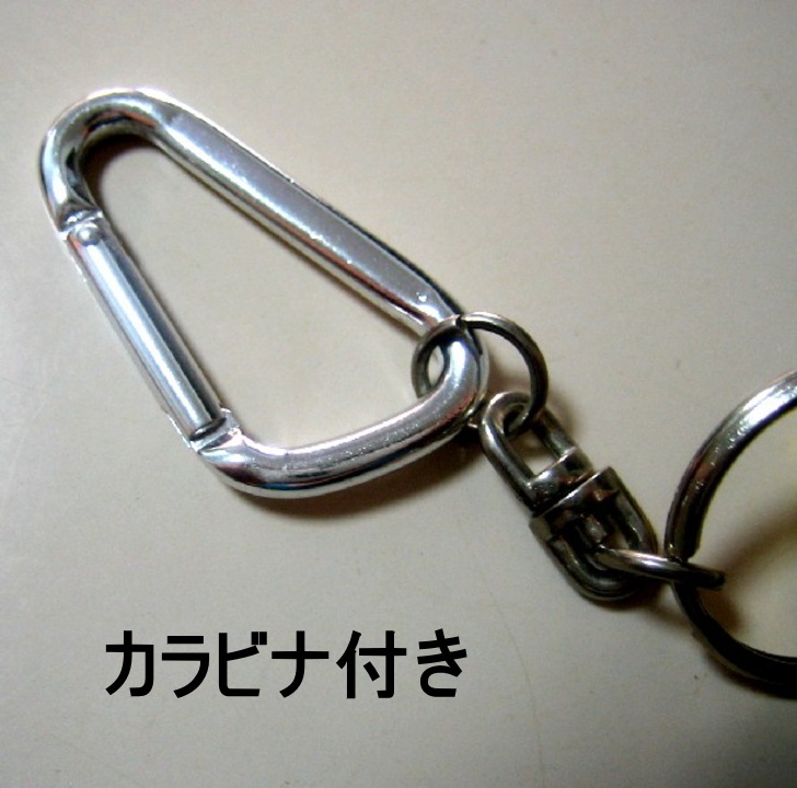 ե饤ȥۥţʣţãԣɣϣ-ӣţԡʻѷ