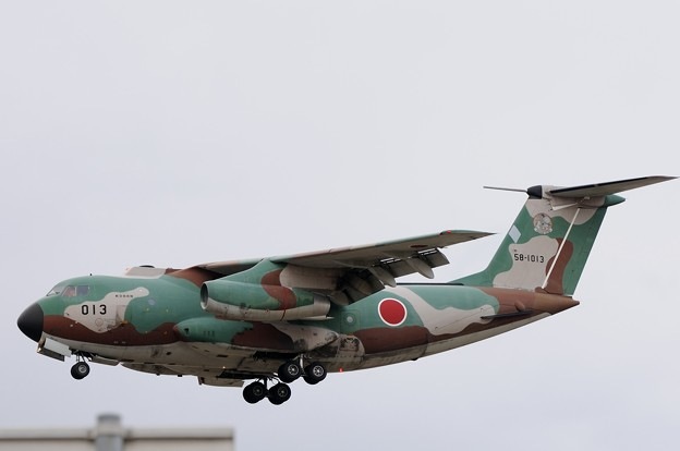 ���ݴ�����403������ C-1͢���� ���롼 ���������ѥå�