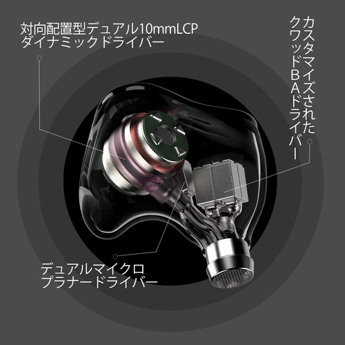 SHANLING Regal ���꡼���9��19��ȯ���