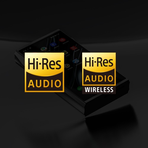 SHANLING M7T �֥롼��10��10��ȯ���