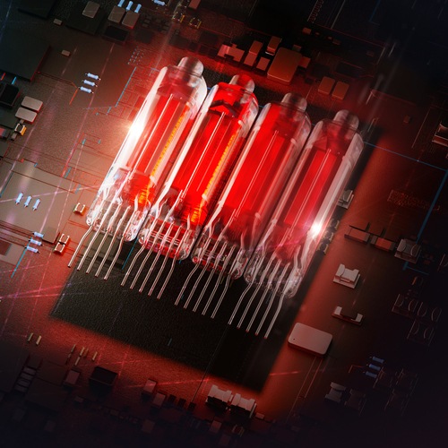 iBasso Audio PB6 MACAW��11��21��ȯ���