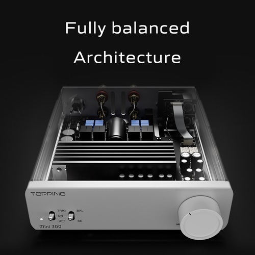 TOPPING Mini300 �ۥ磻�ȡ�3��31��ȯ��ۡ�
