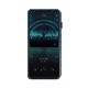 iBasso Audio DX320����2���顼��