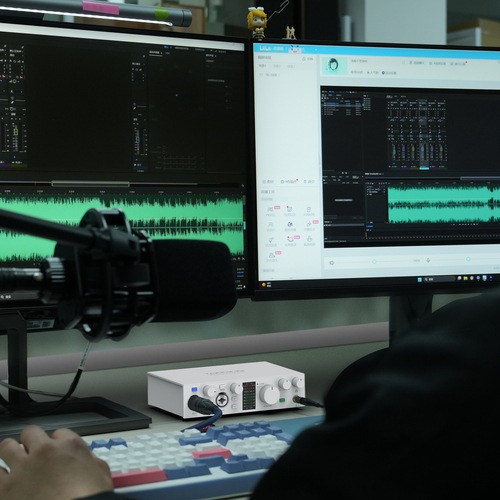 TOPPING Professional E2x2OTG ֥å44ȯ