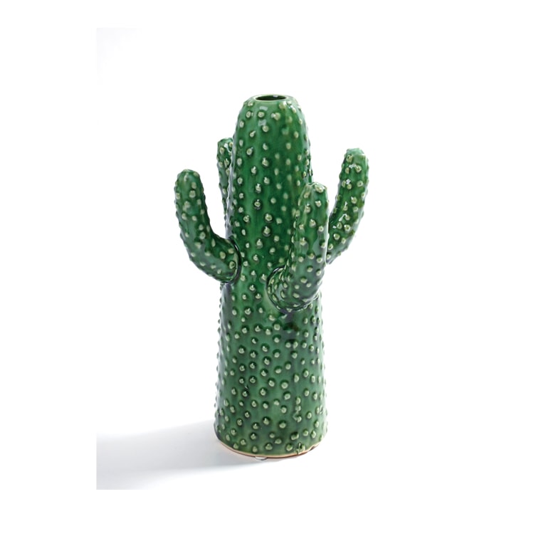 CACTUS MEDIUM (HSX-08)