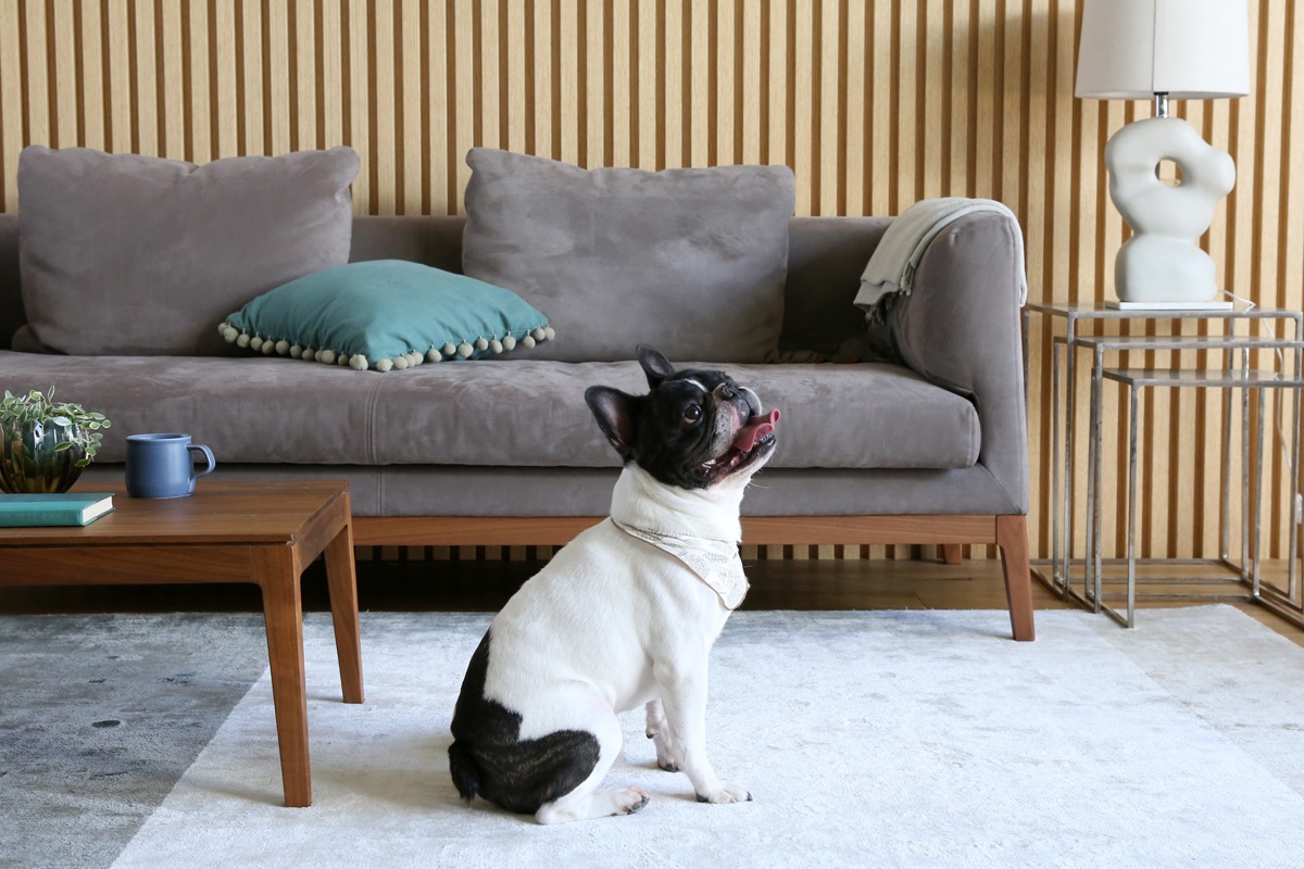 【廃番25％OFF】 FRACCE SOFA 2人掛け グレー ウォルナット脚