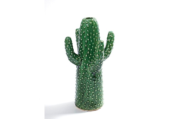 CACTUS MEDIUM (HSX-08)