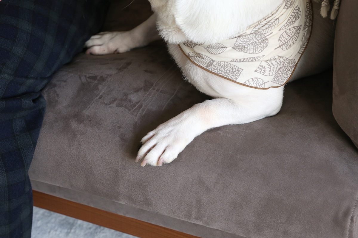 【廃番25％OFF】 FRACCE SOFA 2人掛け グレー オーク脚