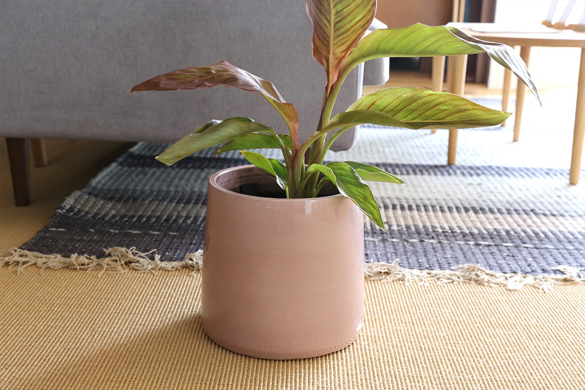 POT CONE　（HSX16・17・18）