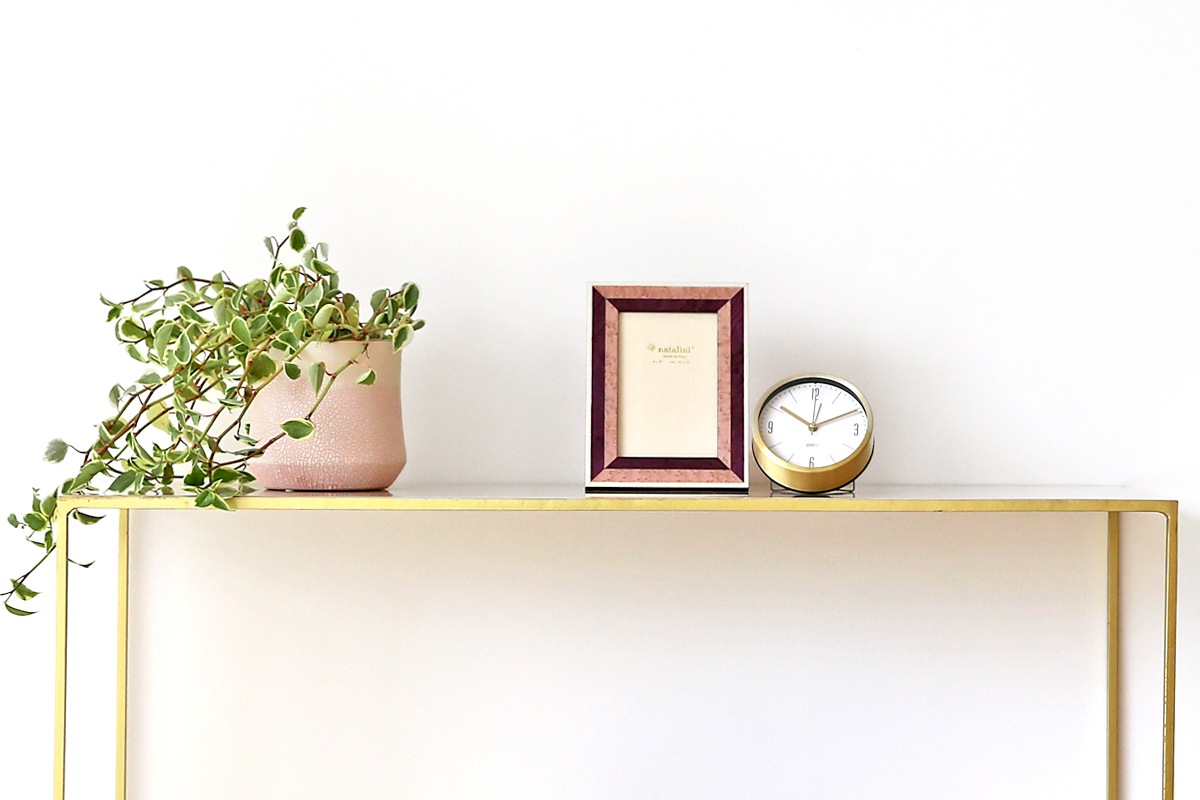 INTRA VIOLA (HNL-11)