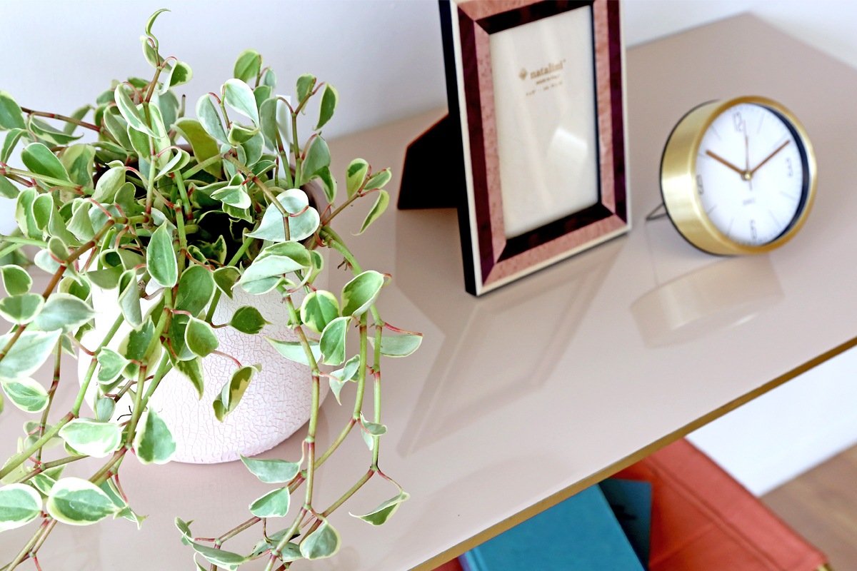 INTRA VIOLA (HNL-11)