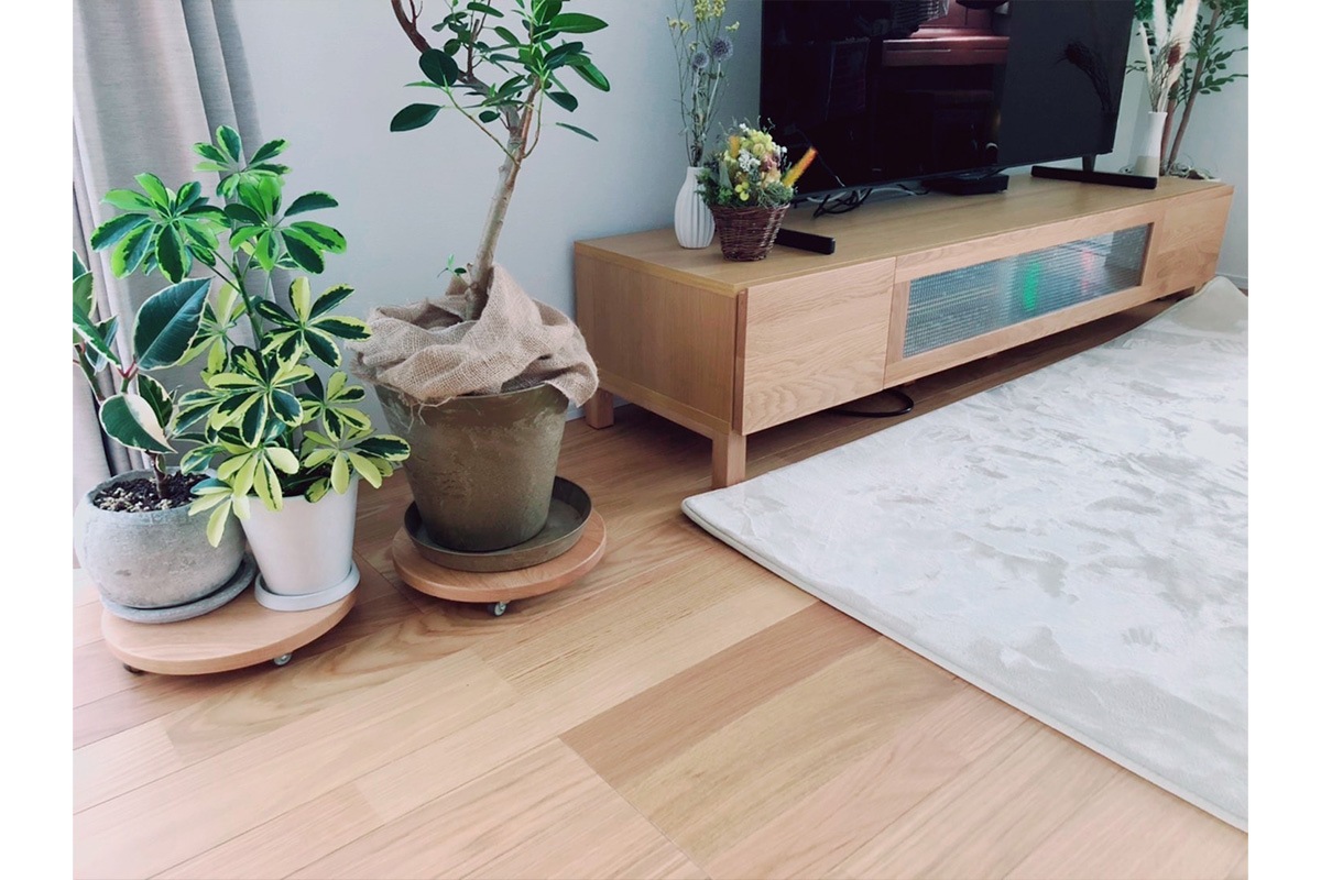 PLANTER BASE シングル Φ24cm ウォルナット