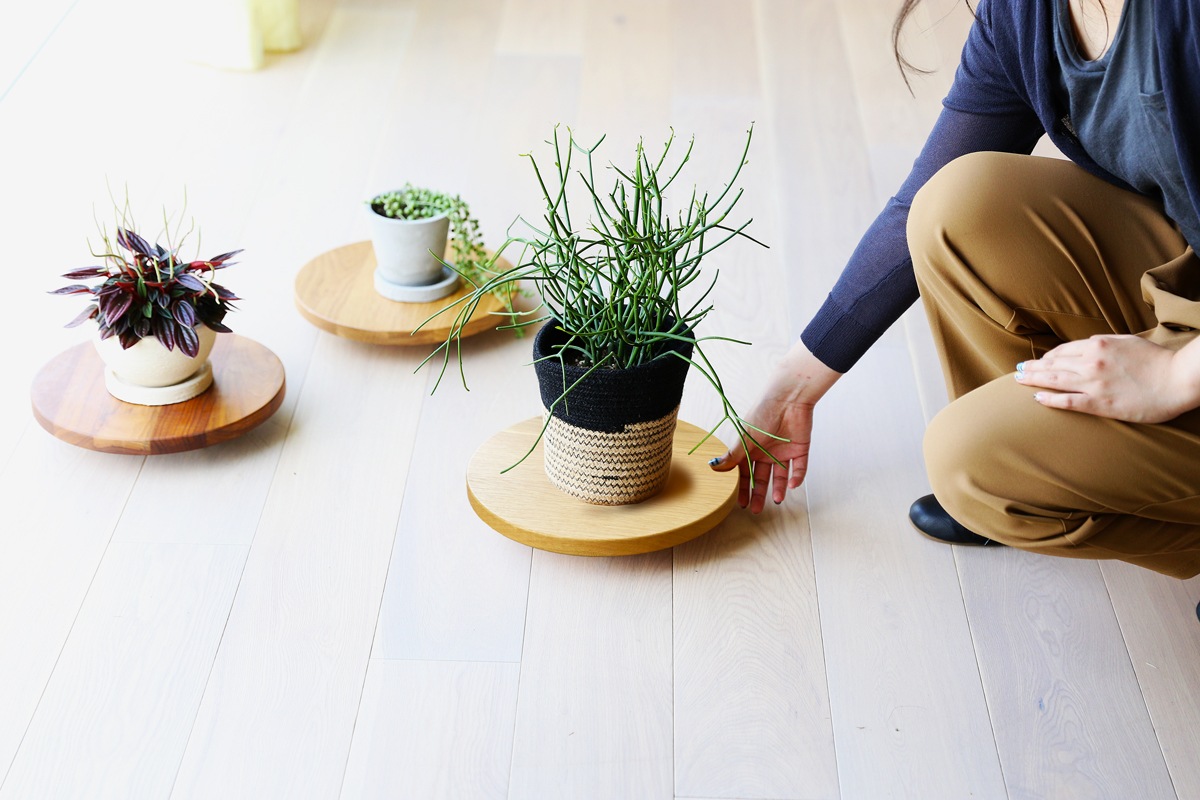 PLANTER BASE シングル Φ24cm ウォルナット