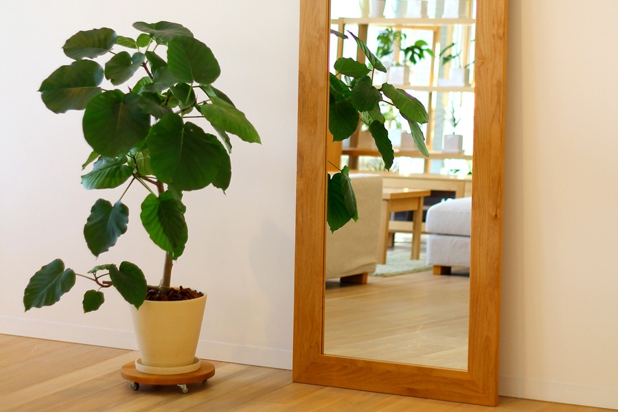 PLANTER BASE シングル Φ29cm ウォルナット