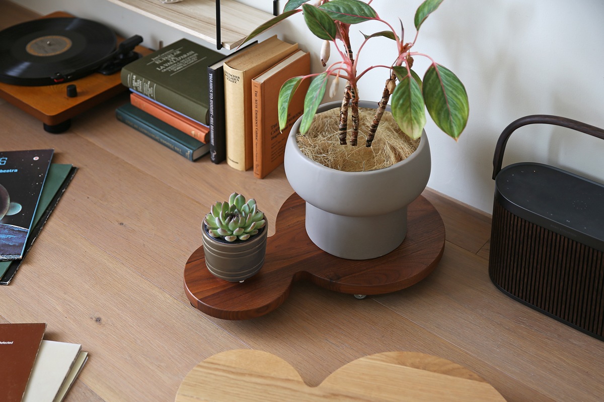 PLANTER BASE ダブル ウォルナット