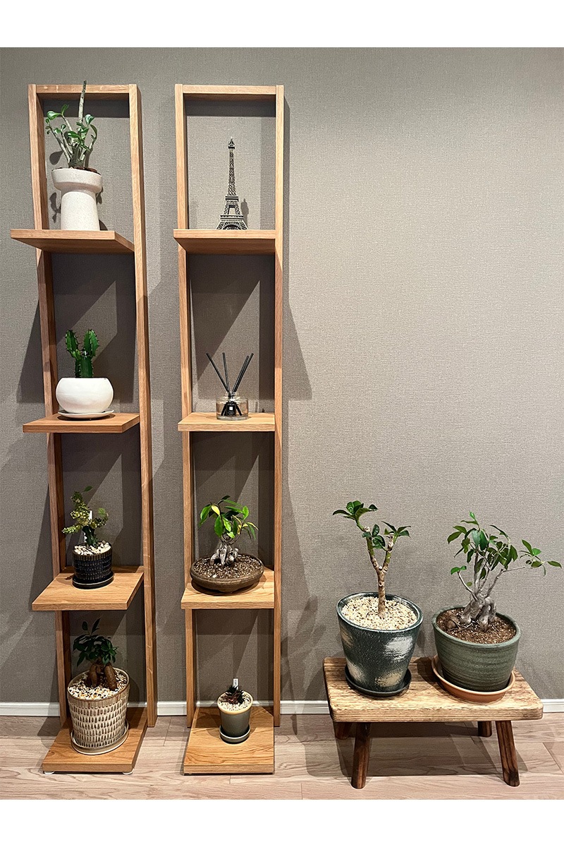 PLAIN RACK プレーンラックオーク