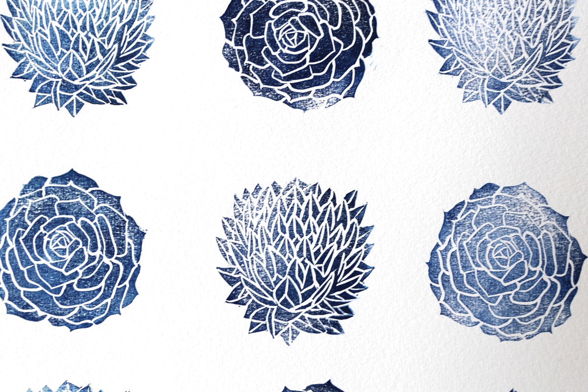 FLORA & FAUNA 自然のデザイン FLORA & FAUNA 自然のデザイン 再販商品の情報】 – ネイチャー