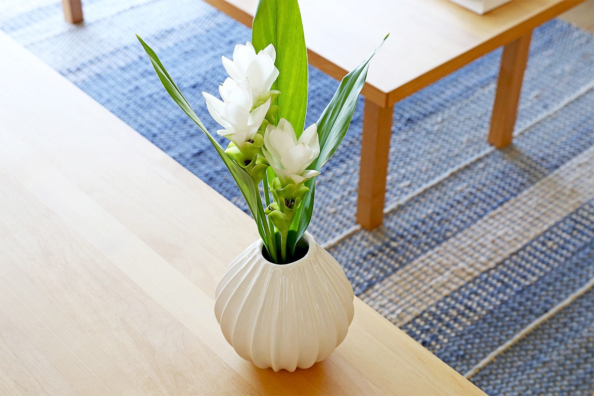 VASE WIDE IVORY(HBC-03/04)