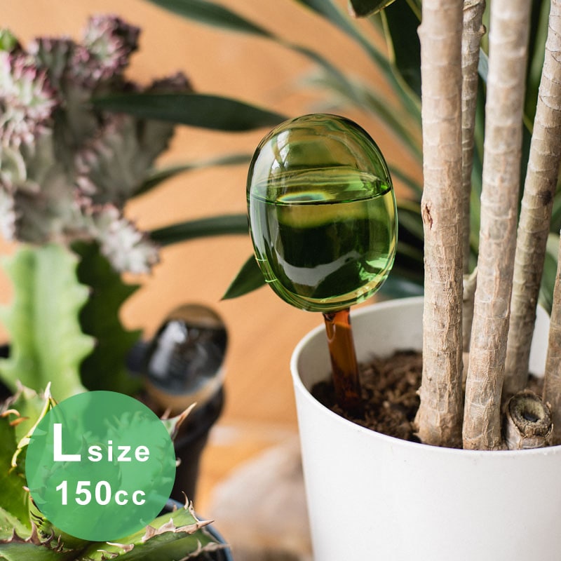 amabro アマブロ TWO TONE ウォーターディスペンサー／Lサイズ（150cc