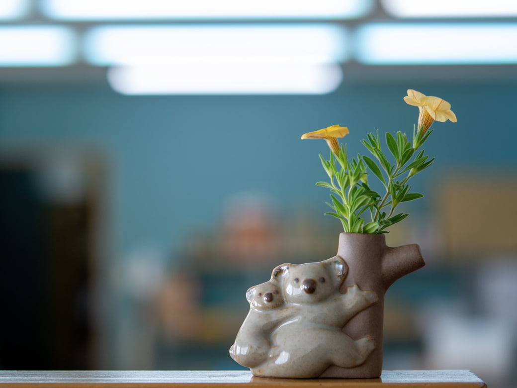 sen コアラの花入れ【一輪挿し 花瓶 花器 陶器のオブジェ