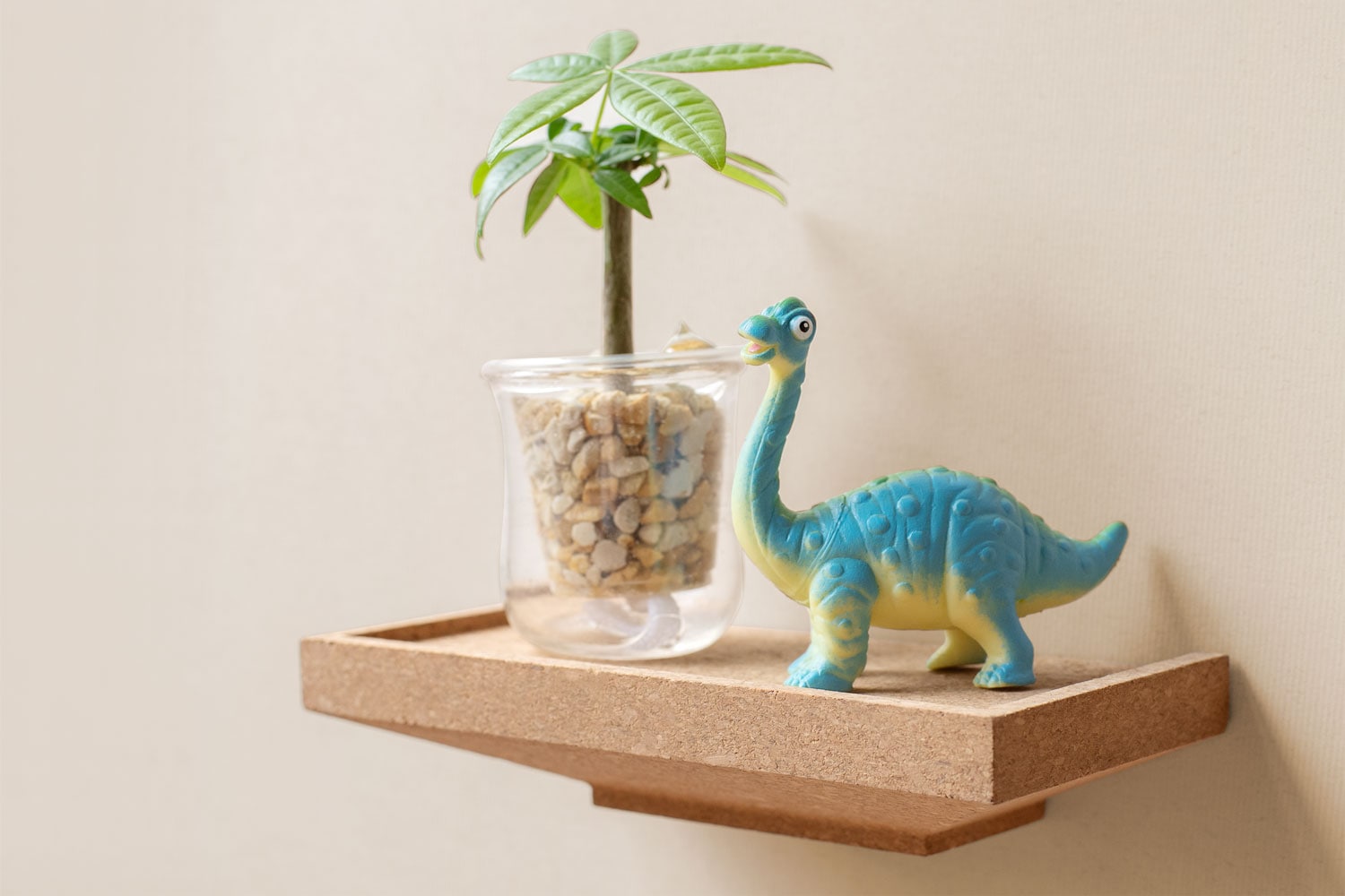 amabro アマブロ コルクウォールシェルフ 壁棚 2タイプ【ディスプレイ