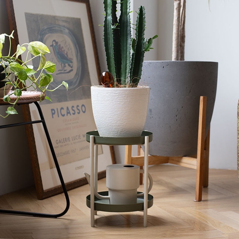 11_000000001138.jpg?1730458385