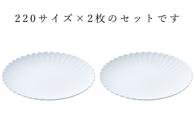 3月下旬発送※1616/arita japan TY パレス プレート220／グレー [2枚
