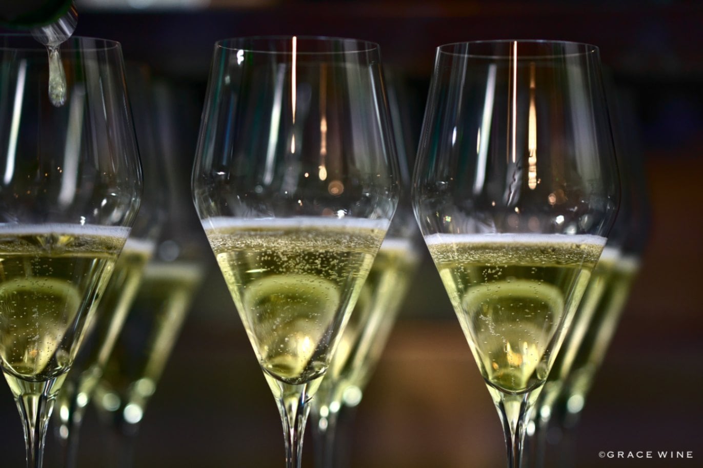 新ヴィンテージ【 セレナ エクストラブリュット2020 48ヵ月 (4年) 熟成