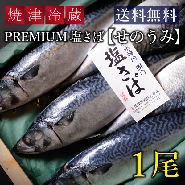 焼津 PREMIUM 塩さば “せのうみ” 【1尾】