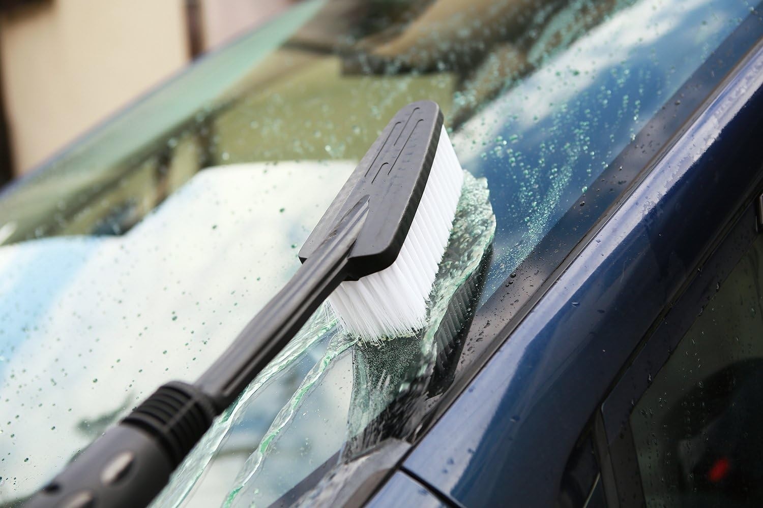 CLEAN ホシウジ PCD-210_1.jpg