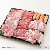 【コスパに優れた人気商品】 国産牛 / 焼肉・バーベキューセット (オール国産5種盛り)