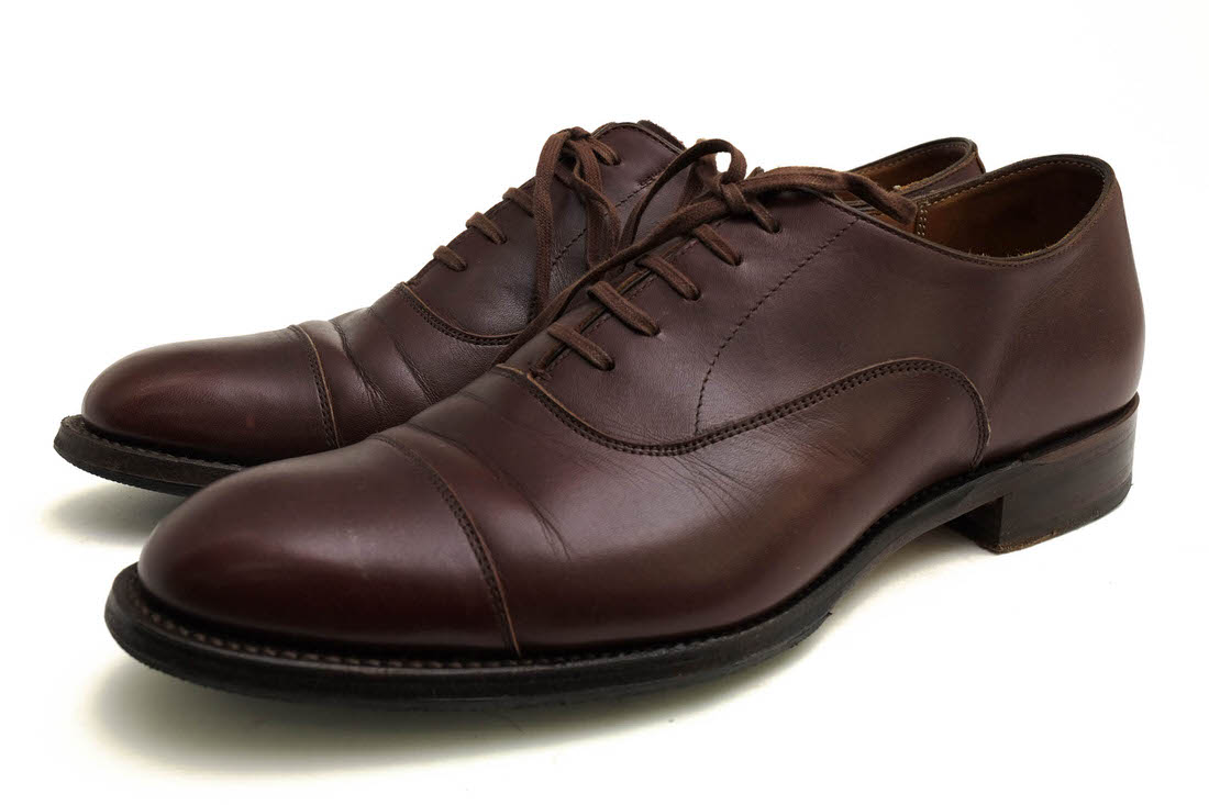 SHETLANDFOX 100F SF ɥ쥤ȥ / åȥɥեå 񻺥åץ쥶  ȥ졼ȥå åɥ䡼ˡ ֥饦 Ǥ ӥͥ塼 