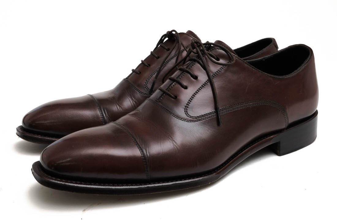 SHETLANDFOX 3048SF GLASGOW 饹 / åȥɥեå ꥢ  ȥ졼ȥå 쥶 åɥ䡼ˡ ֥饦  ӥͥ塼 