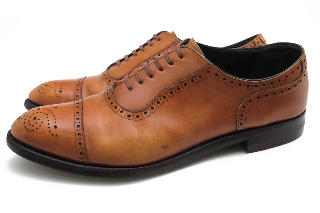 SHETLANDFOX 004F SF Coventry ٥ȥ꡼ / åȥɥեå ߥ֥ ꥪ 񻺥å  åץȥ ʥȥ åɥ䡼ˡ ֥饦  ӥͥ塼 