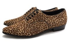 CELINE 327773057C Derby 30 Jacno LeoPrintHair / ���꡼�� �����ӡ����塼�� by Hedi Slimane ���ǥ�����ޥ� �쥪�ѡ��ɥϥ饳�쥶�� �쥶�������� �֥饦�� �� �����奢�륷�塼�� ��ǥ�����