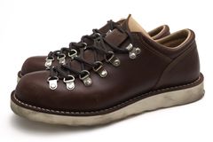 Danner D910100 TIGERD TNJ �ƥ������� �ƥ������̥����� / ���ʡ� ���� ���ƥå���������ˡ �������֥饦�� �Ǥ��� �ޥ���ƥ�֡��� ���