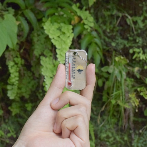 ジッポゲージ バーチウッド | SUN | High MOUNT オンラインストア