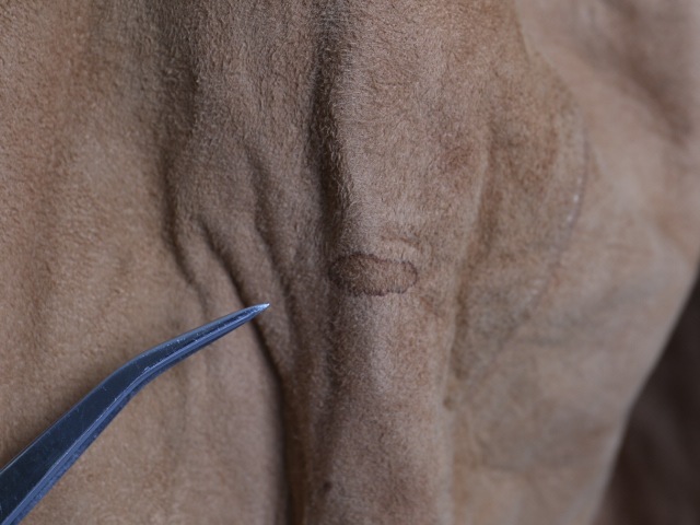 40's CALIFORNIAN Deer Skin Leather Jacket (about 38)