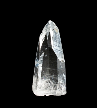 No.71��������ӥ��������ꥢ�󥷡��ɥ��ꥹ����ʹ⤵����4.5�����