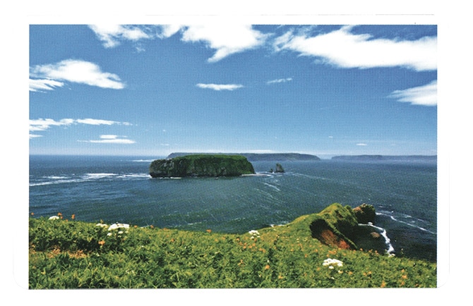 ���פγ��������� ��ư��