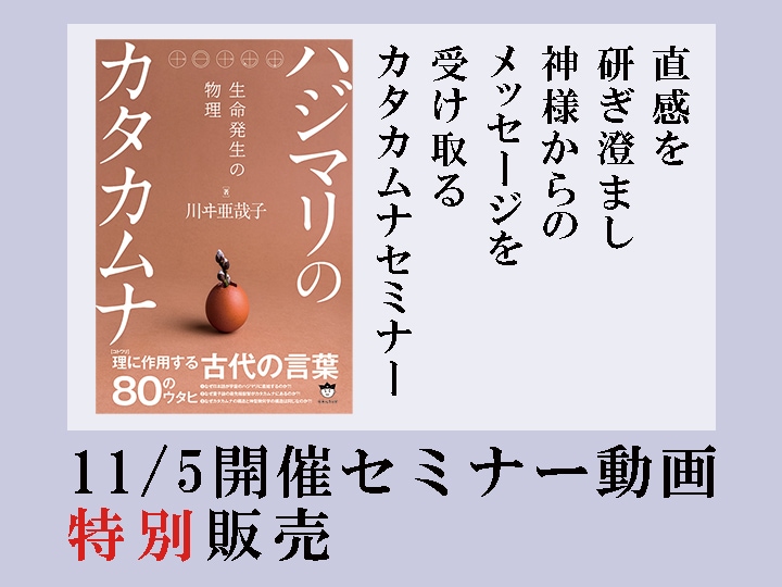 治療家のためのカタカムナ セミナーDVD 治療家のためのカタカムナ】 美品❗️セミナーDVD