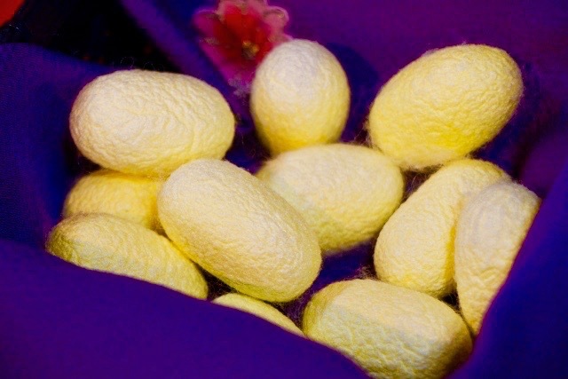 emocion�ʥ��⥷����˥Υ󡦥����� �إ��ȥ꡼�ȥ���