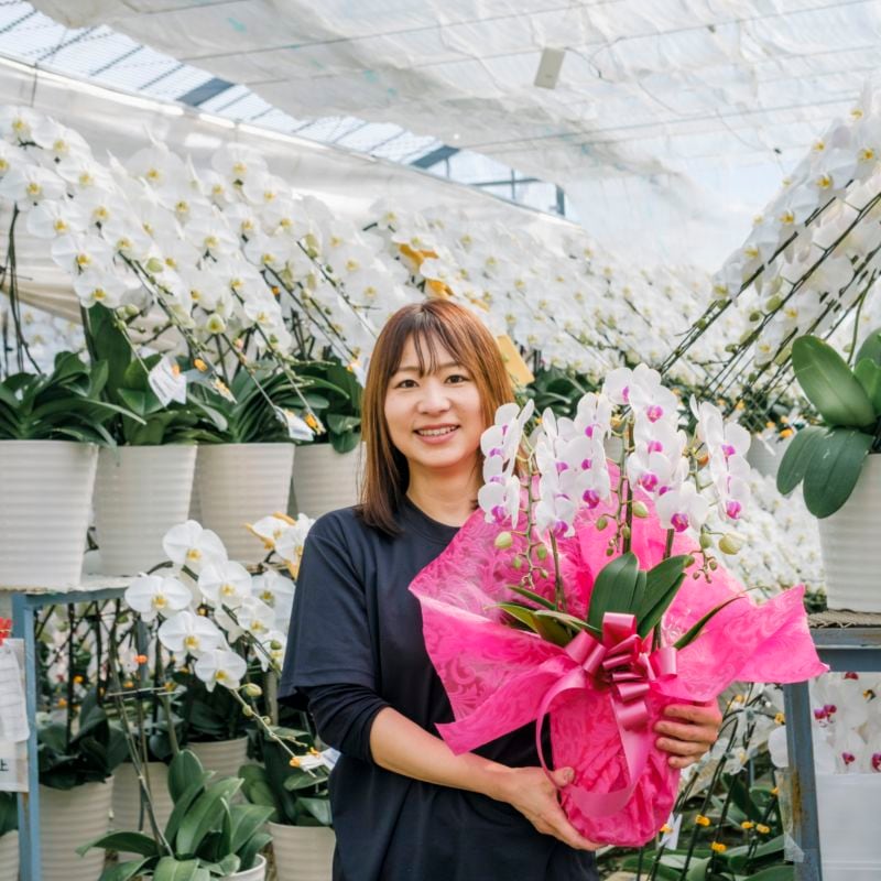 新支店や新店舗の開設祝いに贈る胡蝶蘭の通販｜ヒカル・オーキッド